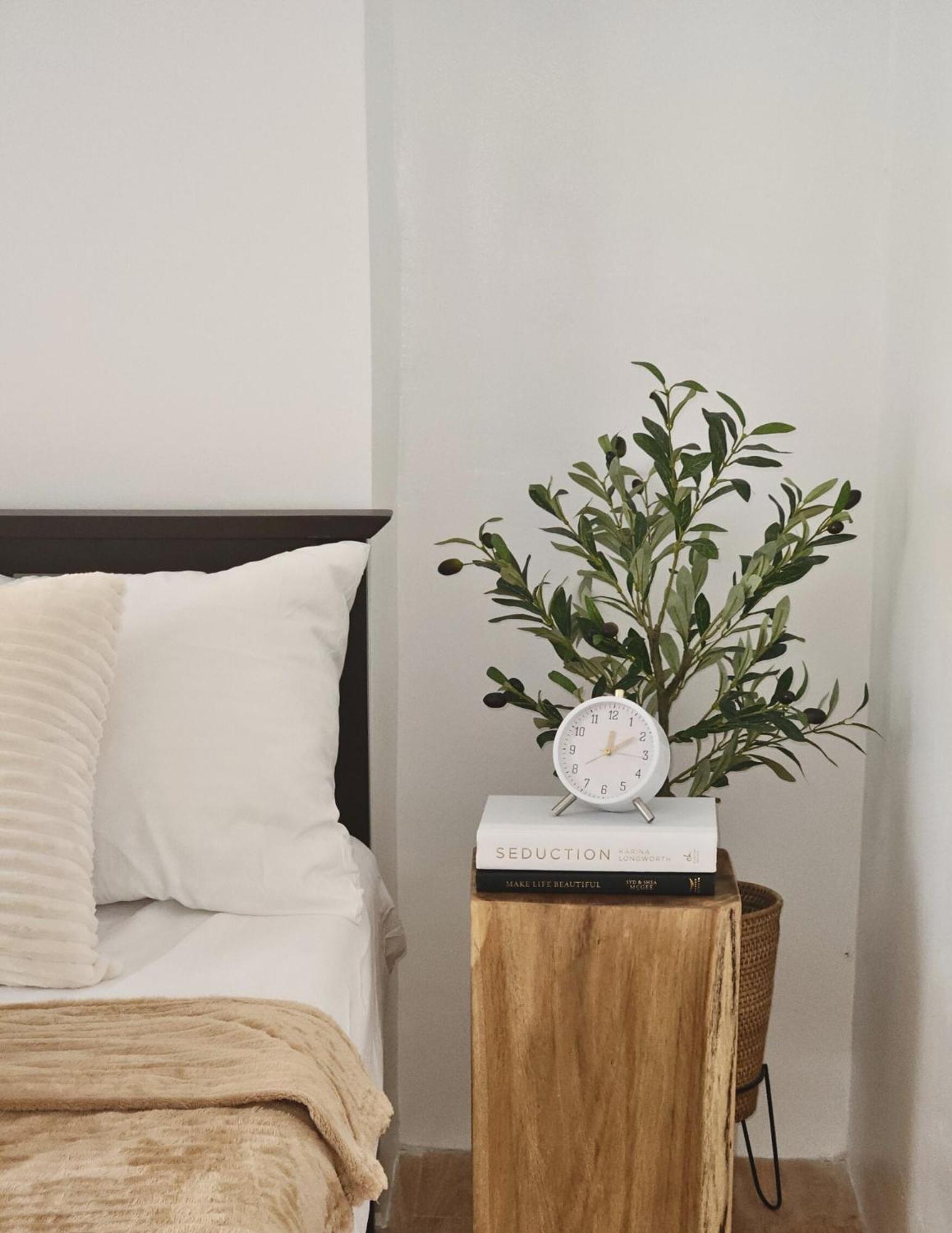 The Traveller'S Haven Airbnb Cebu Extérieur photo